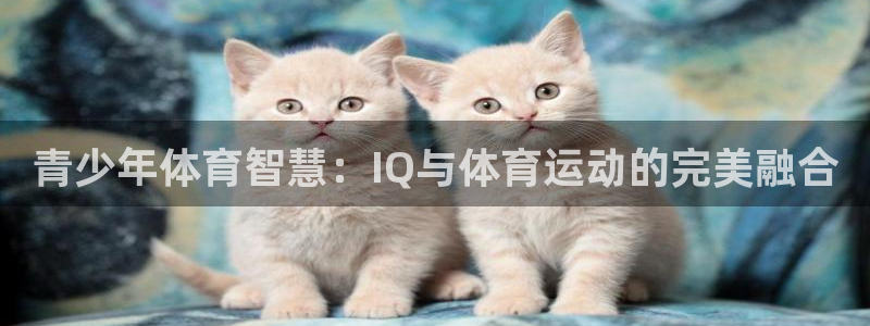 64体育：青少年体育智慧：IQ与体育运动的完美融合
